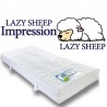 Lazy Sleep Impression